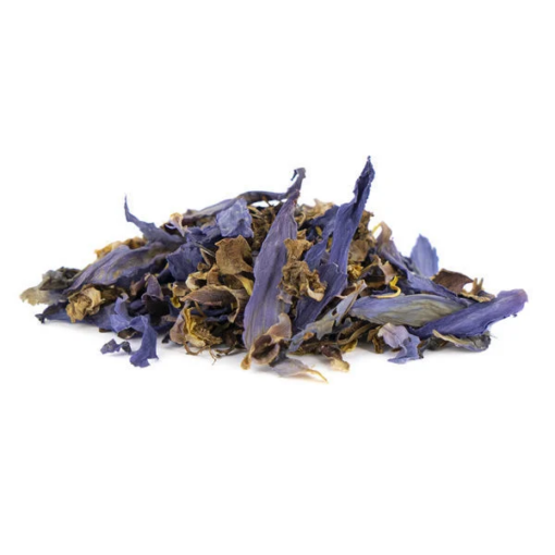 Blue Lotus